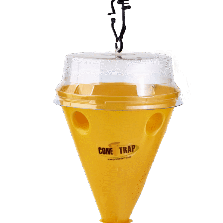 Conetrap Bactrocera unitario (ES-00625)