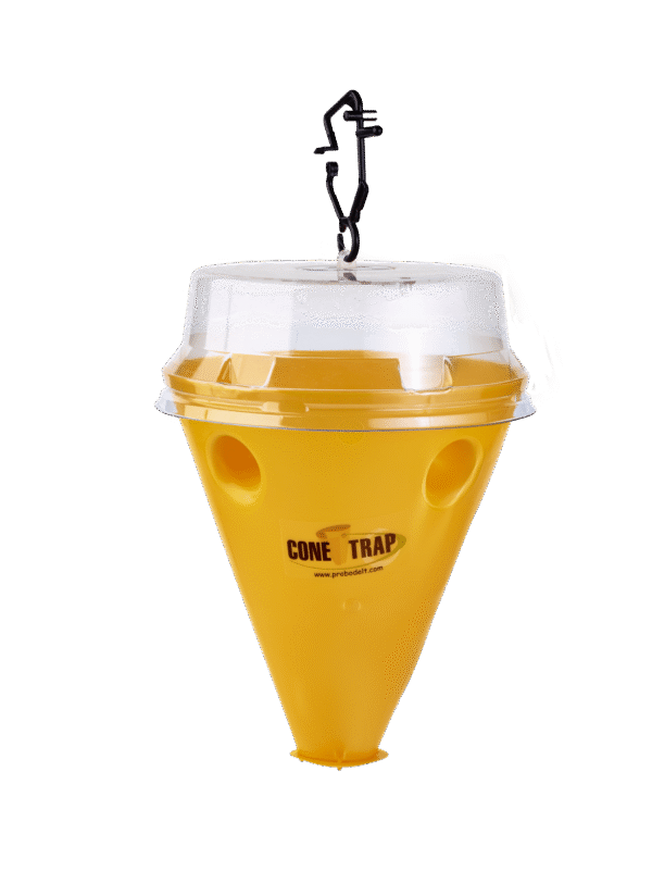 Conetrap Ceratitis unitario (ES-00624)