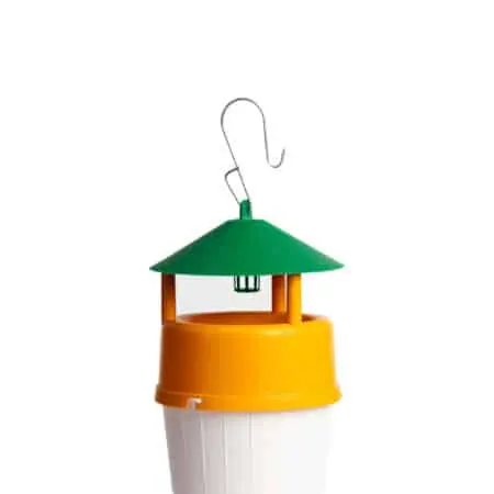 Polillero Funnel Árbol