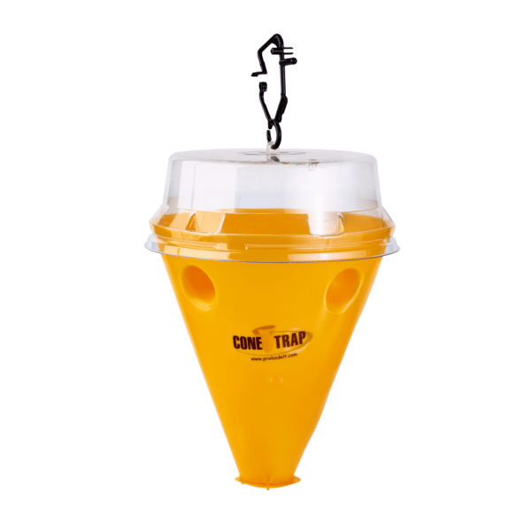 Conetrap Bactrocera (ES-00625)