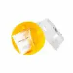 Conetrap Bactrocera (ES-00625)