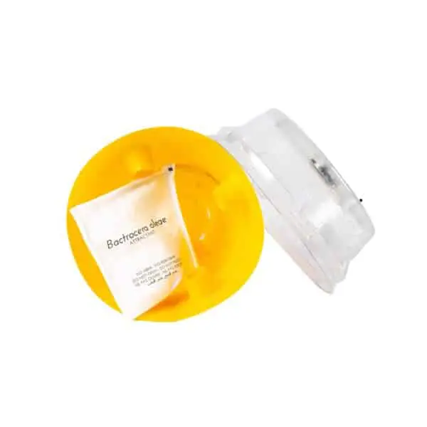 Conetrap Bactrocera (ES-00625)