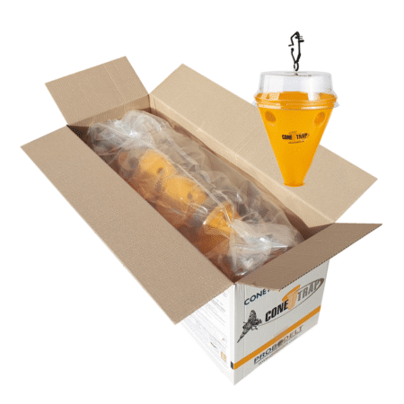 Conetrap Ceratitis (ES-00624)