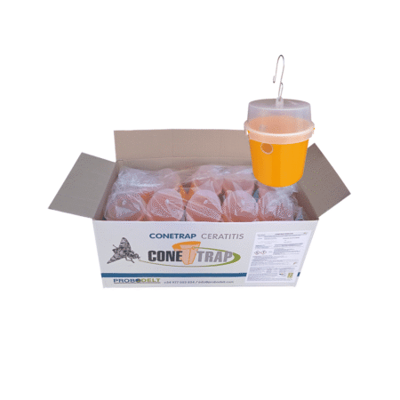 Maxitrap Ceratitis (ES-00624)