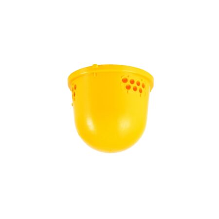 Base Trampa Leiodelt