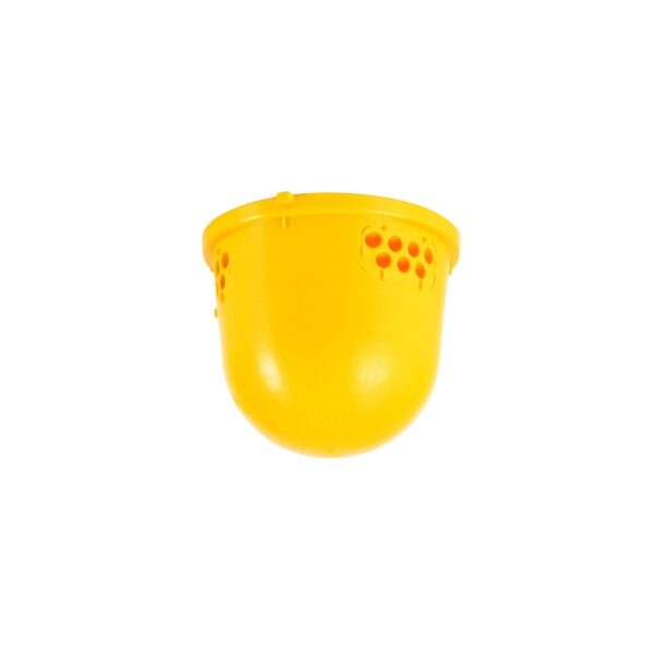 Base Trampa Leiodelt