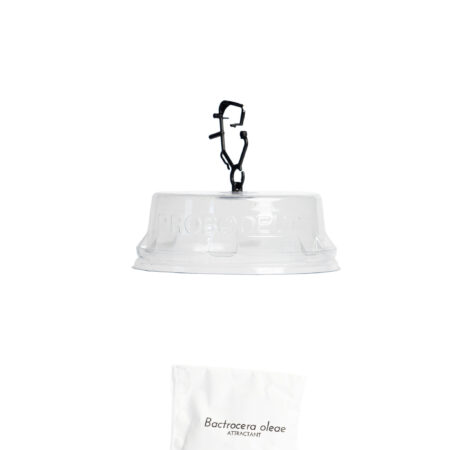 Tapa insecticida Conetrap + Atrayente Bactrocera (unitario)