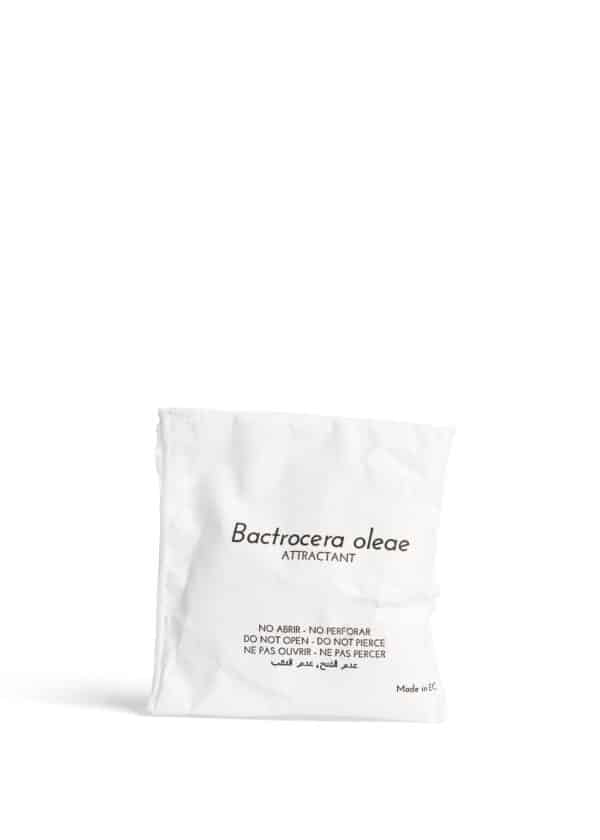 Tapa insecticida Conetrap + Atrayente Bactrocera (unitario)