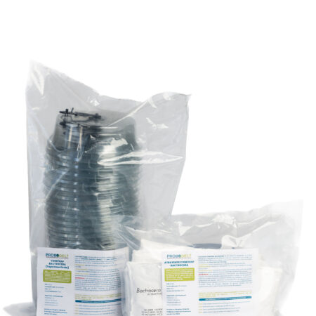 Tapa insecticida Conetrap + Atrayente Bactrocera (25 unidades)