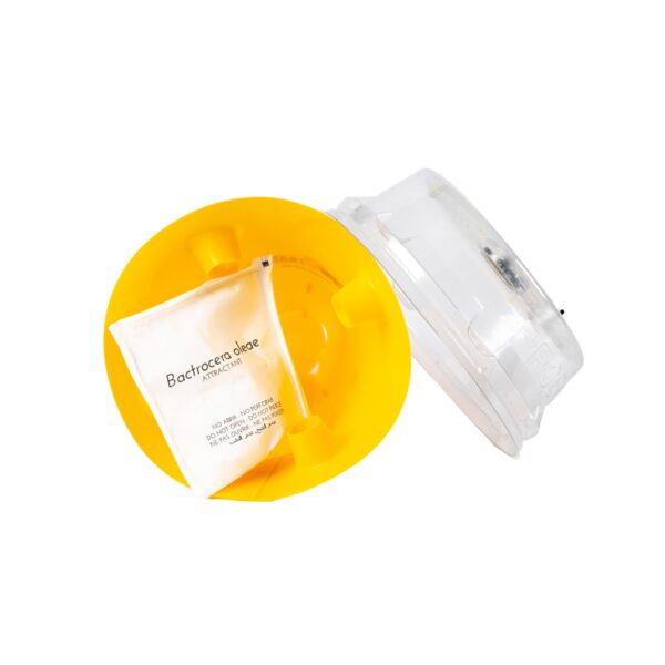 Conetrap Bactrocera (ES-00625)