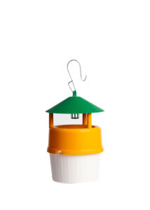 Polillero Funnel Árbol