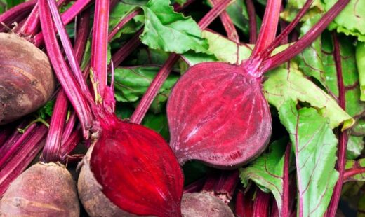 Remolacha